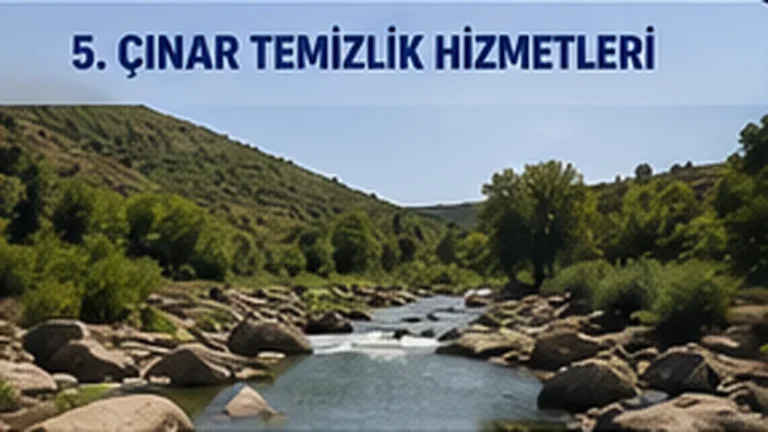 Çınar Temizlik Hizmetleri