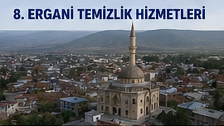 Ergani Temizlik Hizmetleri
