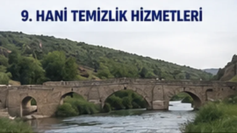 Hani Temizlik Hizmetleri