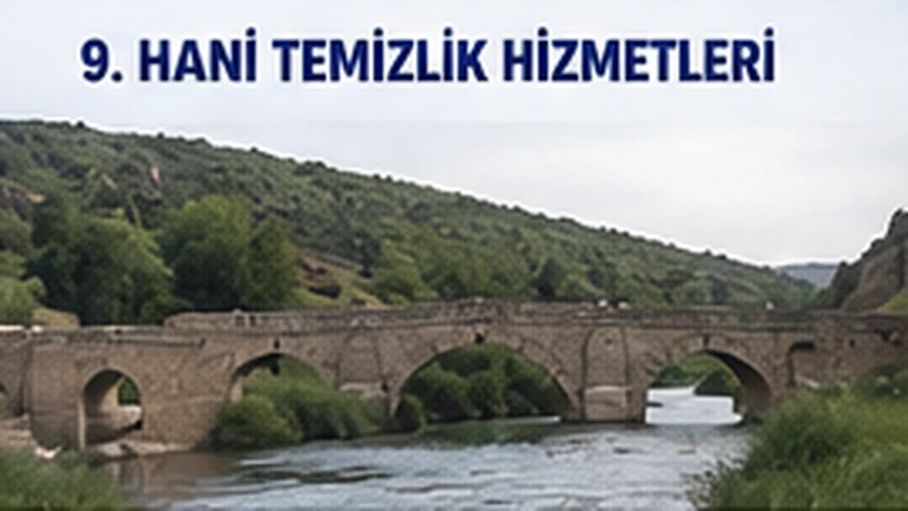 Hani Temizlik Hizmetleri