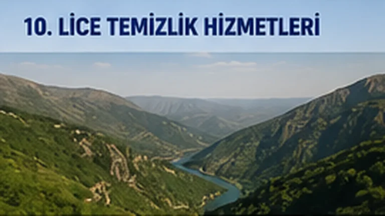 Lice Temizlik Hizmetleri