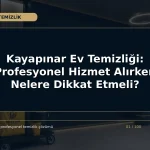 Kayapınar Ev Temizliği: Profesyonel Hizmet Alırken Nelere Dikkat Etmeli?