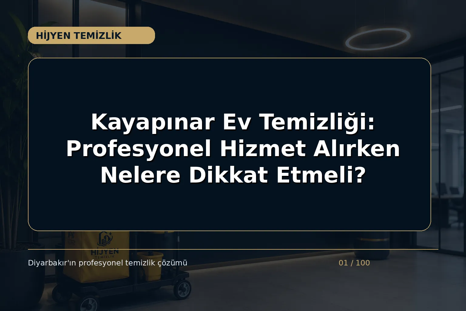 Kayapınar Ev Temizliği: Profesyonel Hizmet Alırken Nelere Dikkat Etmeli?