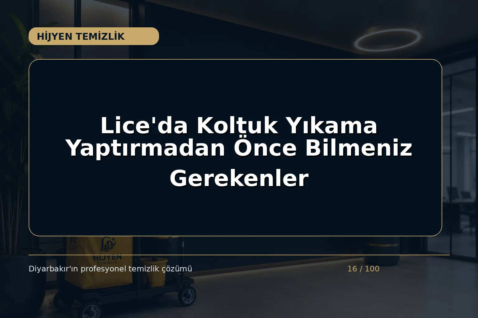 Lice’da Koltuk Yıkama Yaptırmadan Önce Bilmeniz Gerekenler
